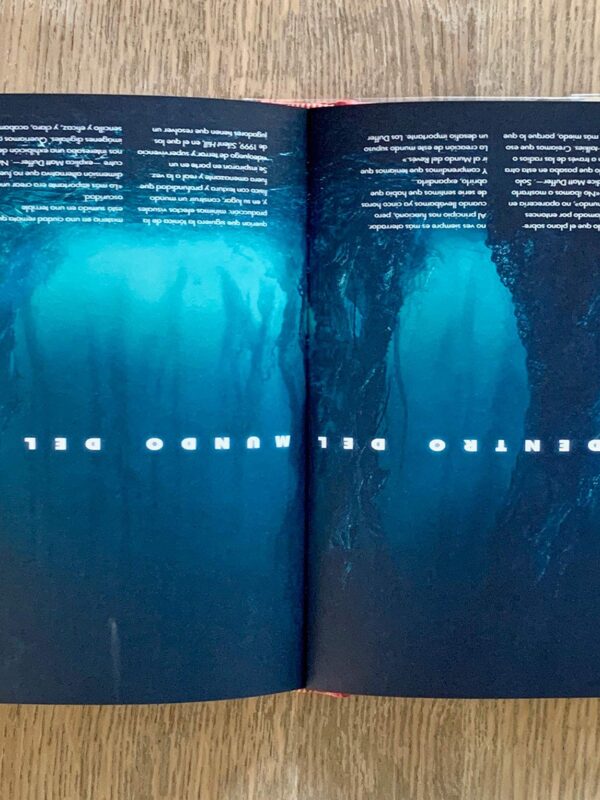 Alternative view of Stranger Things - Mundos Del Reves