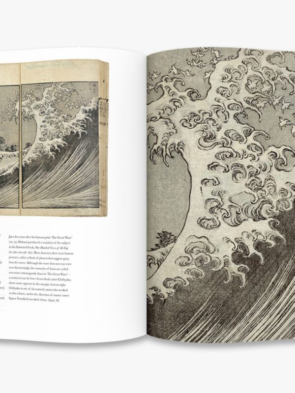 Alternative view of HOKUSAI Beyond The Great Wave