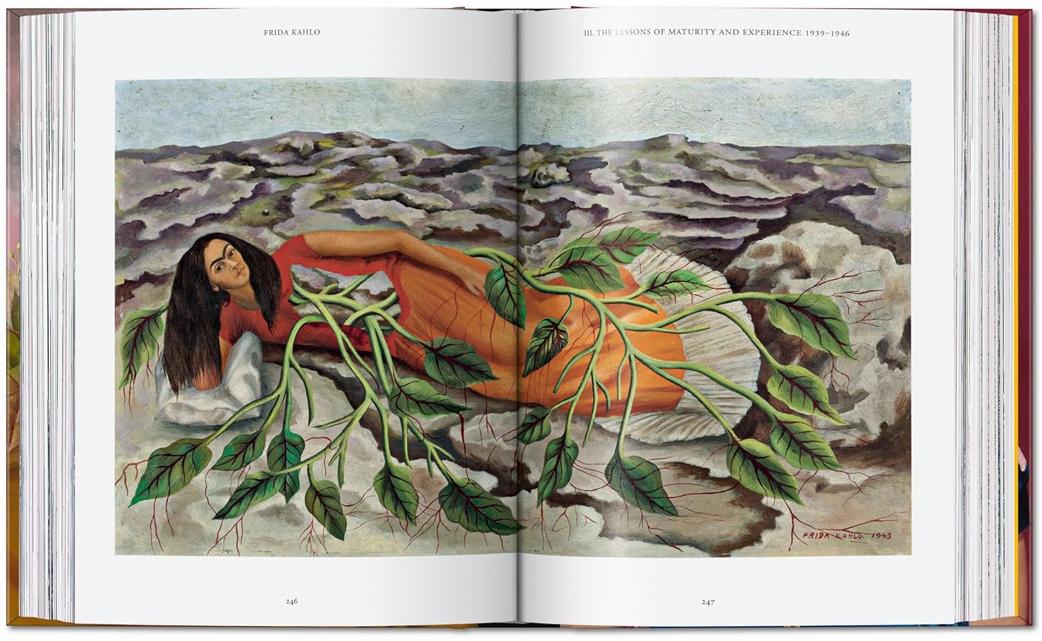 Frida Kahlo - Imagen 7