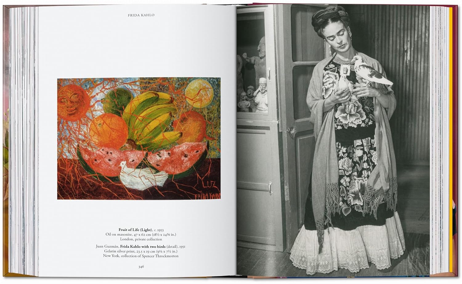 Frida Kahlo - Imagen 8