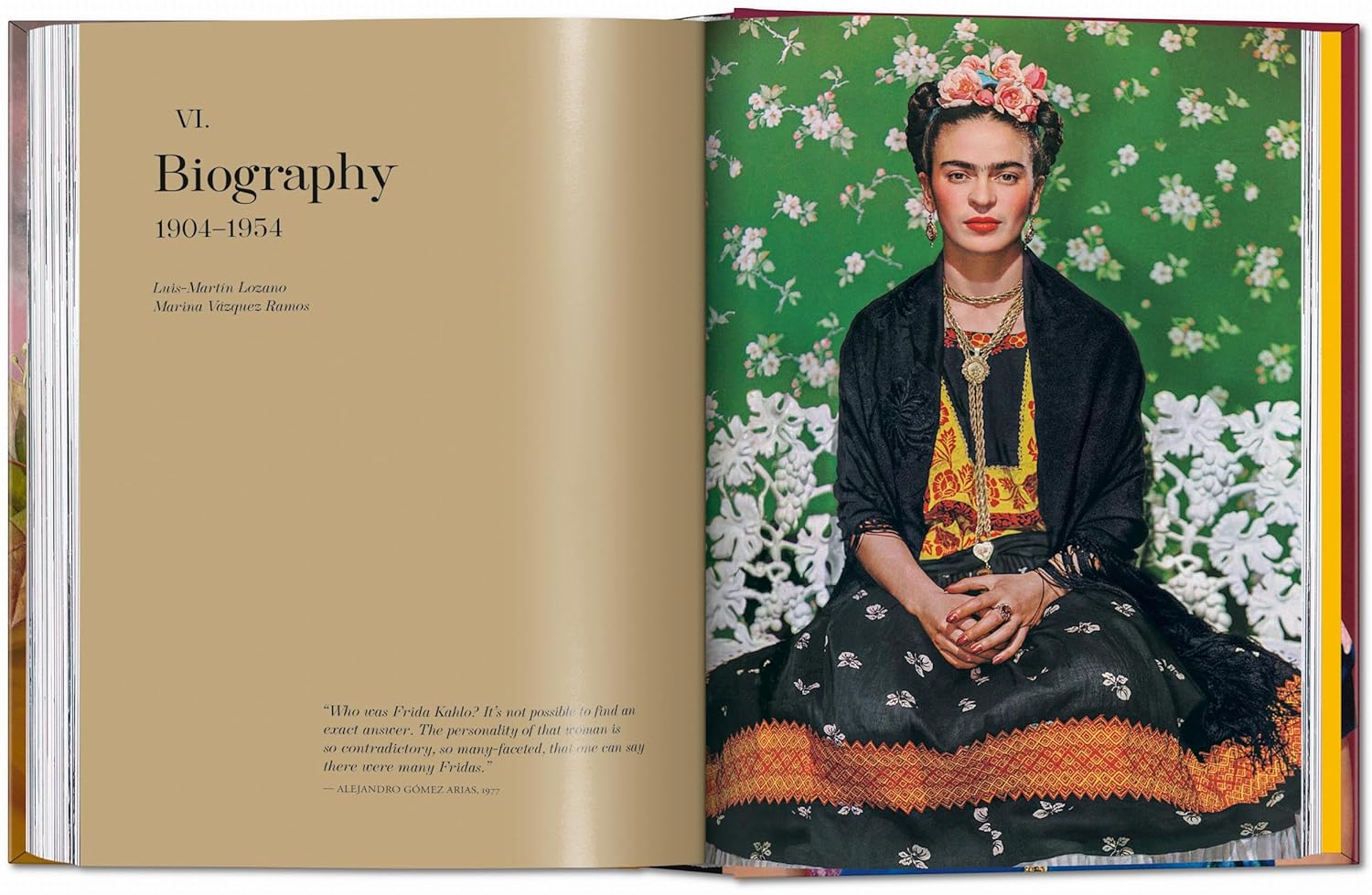 Frida Kahlo - Imagen 2