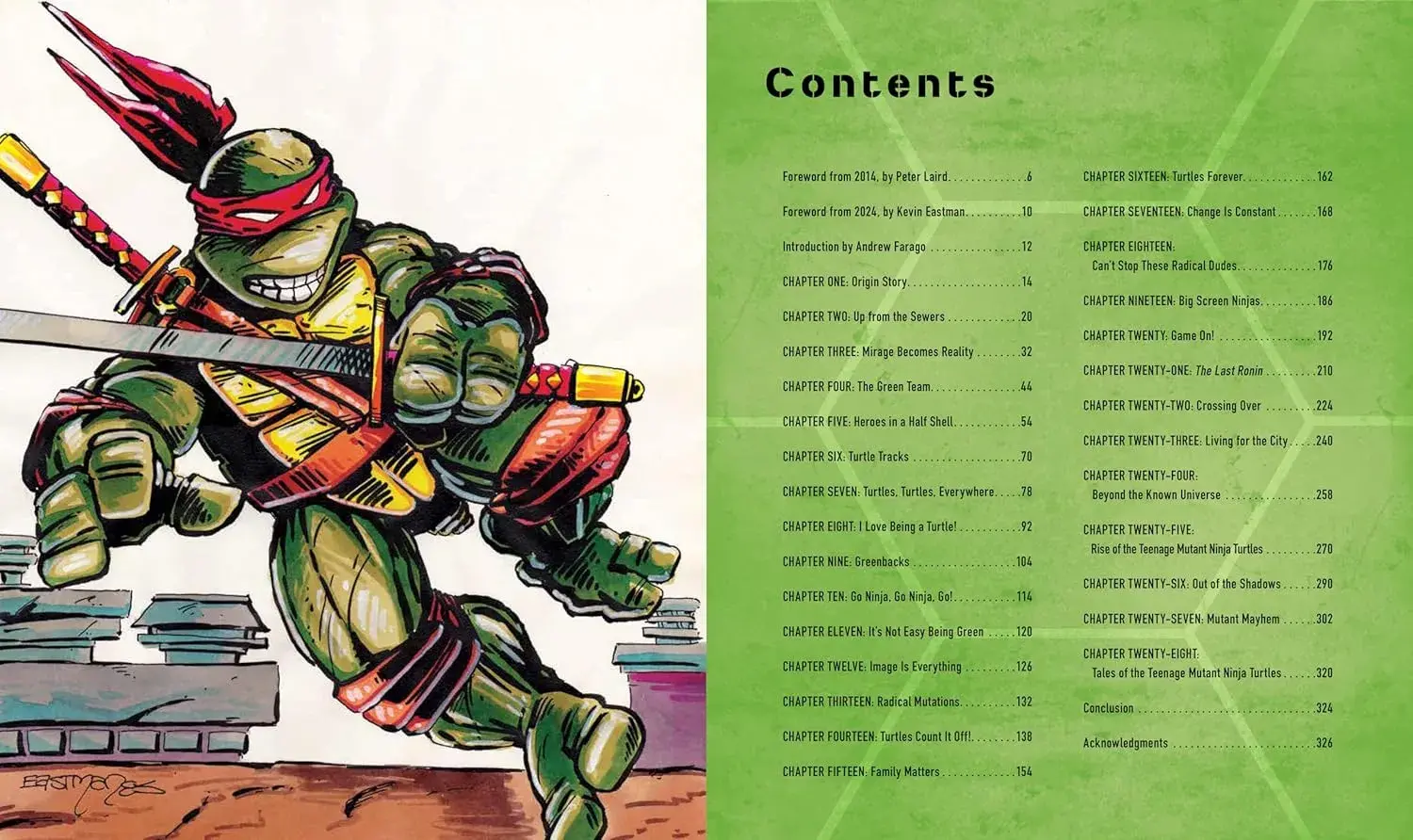 Teenage Mutant Ninja Turtles - The Ultimate Visual History - Imagen 2