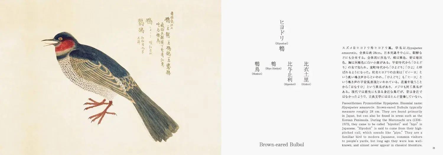 Birds of Edo - Imagen 6