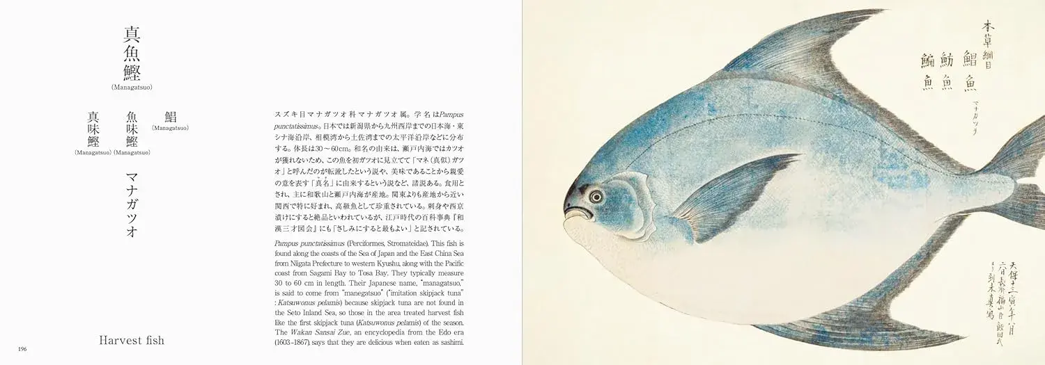 Fishes of Edo - Imagen 2