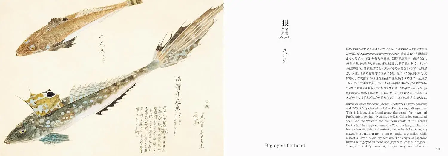 Fishes of Edo - Imagen 5