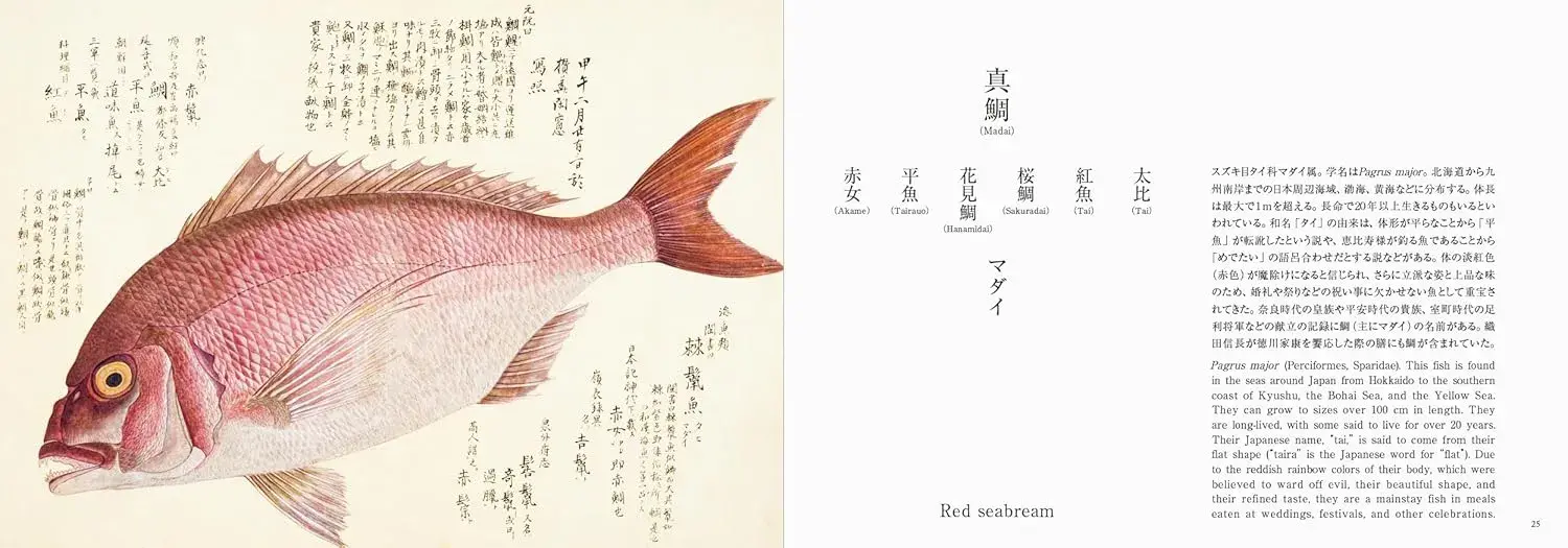 Fishes of Edo - Imagen 3