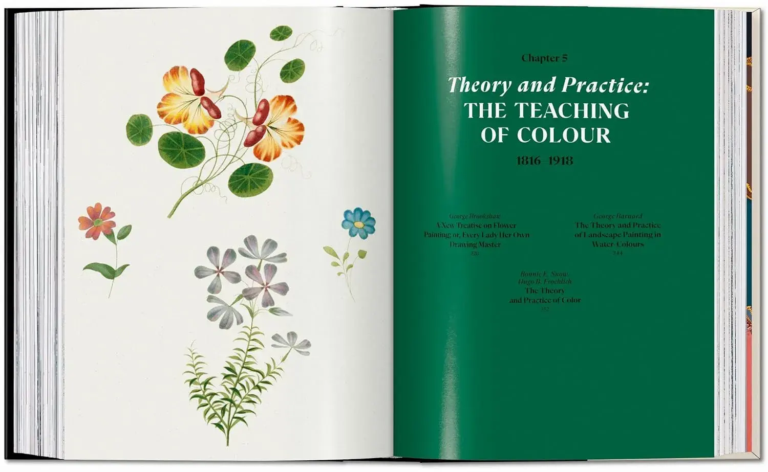 The Book of Colour Concepts - Imagen 7